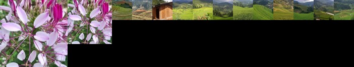 Indigenous homestay 1