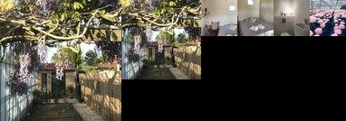 Cozy tiny house close to Schiphol Ams Airport