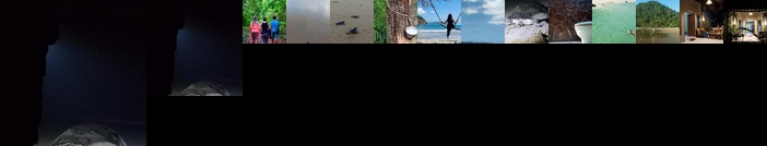 Java Turtle Homestay