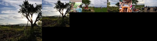 Chicken Star Homestay