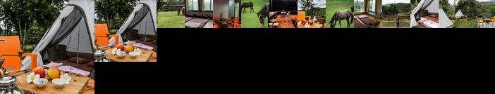 Baan Bon camping field