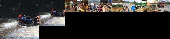 Liana Hostel Taman Negara