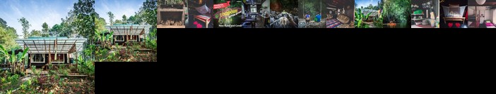 Stranded Cabin - Pinggir Siak