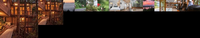 Hideaway in the Trees