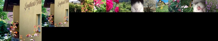 Landhaus GRETE Stubenberg