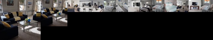 Delightful Petone Townhouse