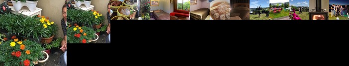 Homestay - Room with a view to die for