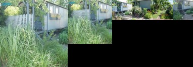 Bed en Breakfast in Vianen