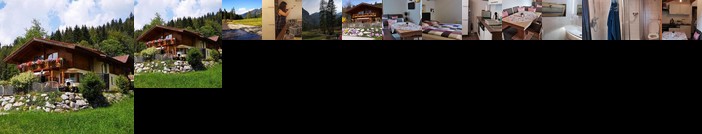 Ferienhaus Elisabeth Forstau