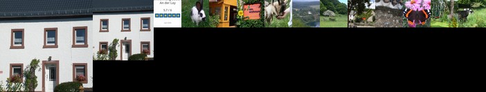Bauernhof & Ferienwohnung An der Lay
