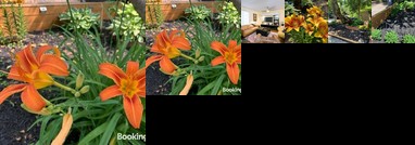 Private Room&Bath in Downtown Toronto