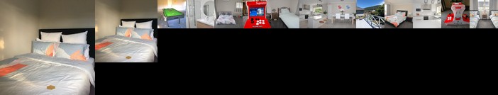 Fresh Modern Enjoyable