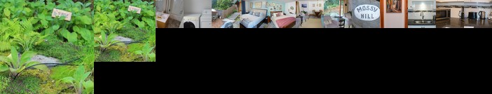 Mossy Hill Guesthouse