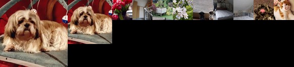 Quiet Room Volendam Home Stay as guest in a family house Marcia