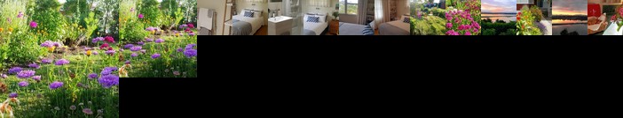 Blooming Delight Tauranga