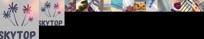 Skytop