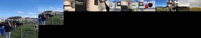 Totara Views Comfy Stay