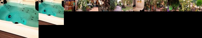 Sea of Galilee Resort