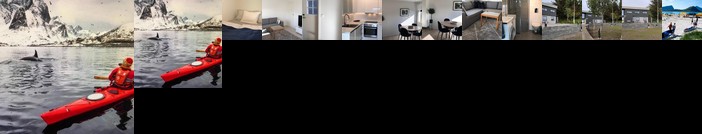 Cozy Apartment in the middle of Lofoten
