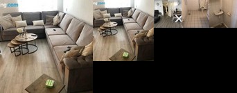 Festival home Rotterdam