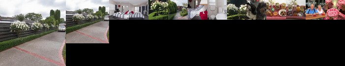 Quiet Boutique Generous Breakfast