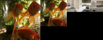 Homestay - Safe clean modern appartment