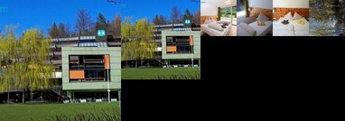 Hermann-Gmeiner-Akademie