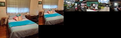 Homestay - Homey Melbourne