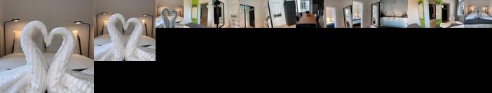 TU Delft 5min sweet aid dog large kitchen