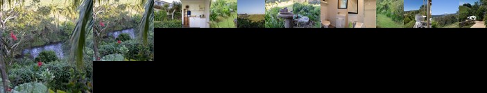 Butlers Lane - The Studio