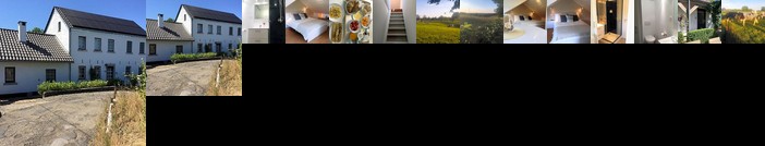 Aux pieds des vaches