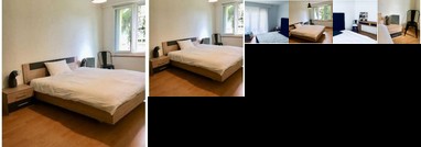 FRI47 - Room in Fribourg city