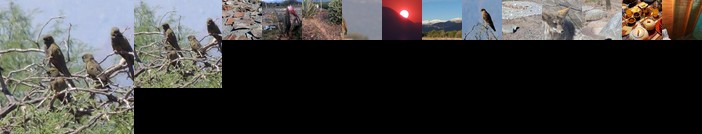 Cabanas Los Elementos San Carlos Salta