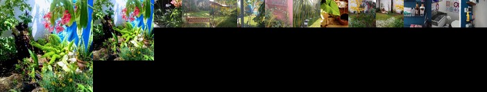 RAIZ DEL CIELO entre 2 jardines de ensueno