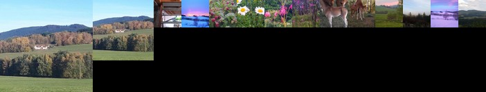 Novohradky - Oaza klidu na samote u lesa