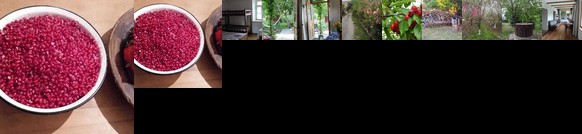 Mzia's Garden Skolastan