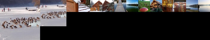 Levendula Roenkhaz Orseg