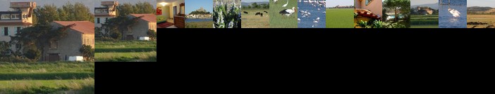 Domaine du Petit Tournebelle