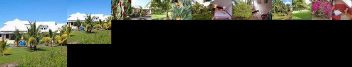 Domaine des Oiseaux Reunion