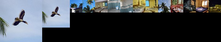 Pebble Bay Home Stay