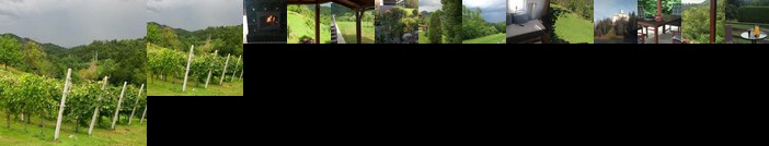 Stunning Mountain Lodge for Rest and Recreation sorrounded by Nature