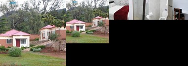 Trinity Homes and Treats