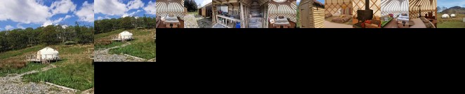 Syke Farm Campsite - Yurt's