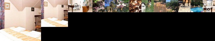 Dom 4 Pokoje Z Basenem Blisko Warszawy