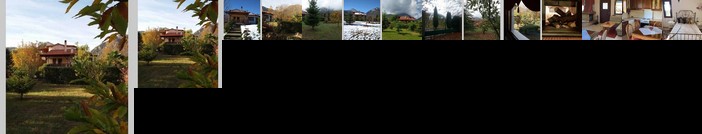 Elegance in the Nature