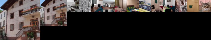 Urlaub auf dem Bauernhof Freiheit und Natur Pur