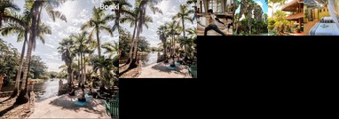 The Mayan Garden- Jungle Lodging & Retreat Center