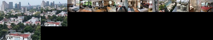 Polanco new apt great location business or fun