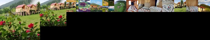 Yates-Pilavdagi Yavuzyilmaz Tesisleri