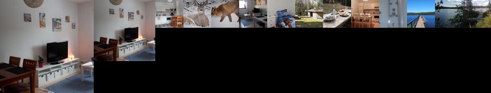 Elaemys Vaahteramaeki